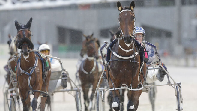 Invercargill Harness Tips & Preview | Thursday 11 June