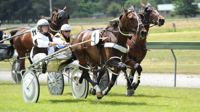 Methven Harness Tips & Preview | Sunday 12 April