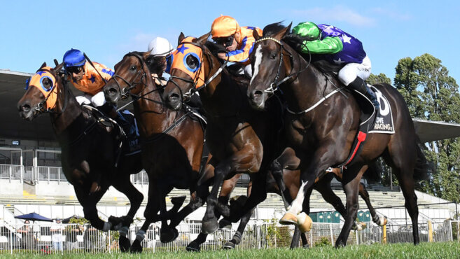 Tauherenikau Tips & Preview | Thursday 5 March