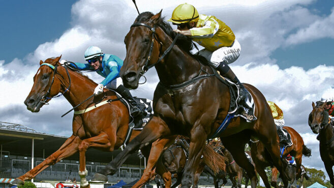 Randwick-Kensington Tips & Preview | Wednesday 29 July