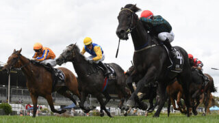 Whanganui Tips & Preview