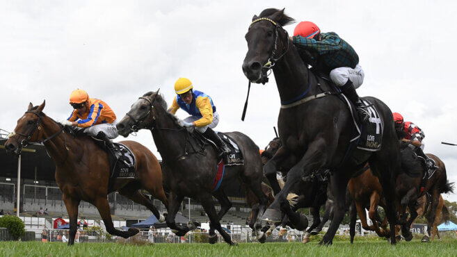 Whanganui Tips & Preview | Saturday 30 May