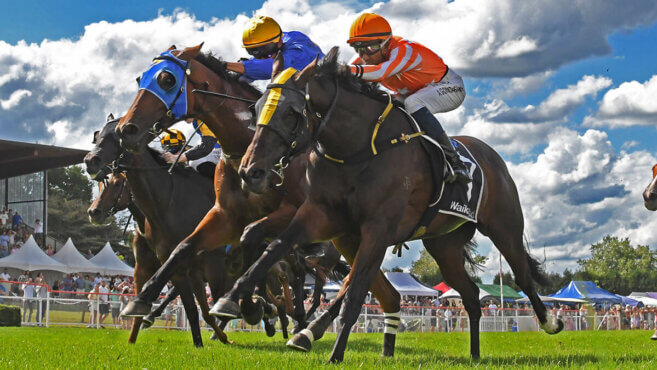 Darwin Tips & Preview | Monday 5 August