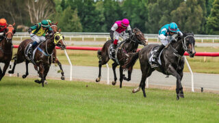 A Thoroughbred race in New Zealand