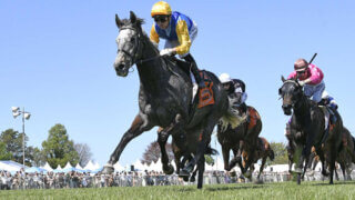 A New Zealand Thoroughbred race