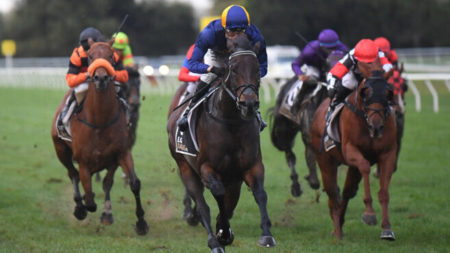 Woodville Tips & Preview | Wednesday 29 April