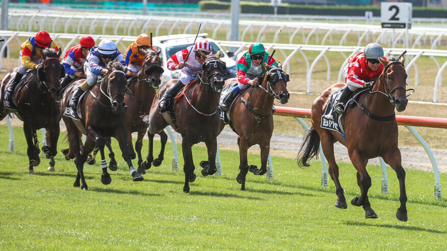 Hb Riccarton Riccarton Tips & Preview | Saturday 3 August - TAB NZ Punters Lounge