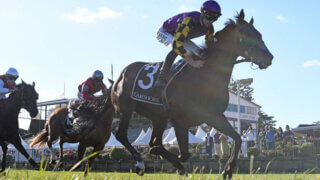 A Thoroughbred race in New Zealand