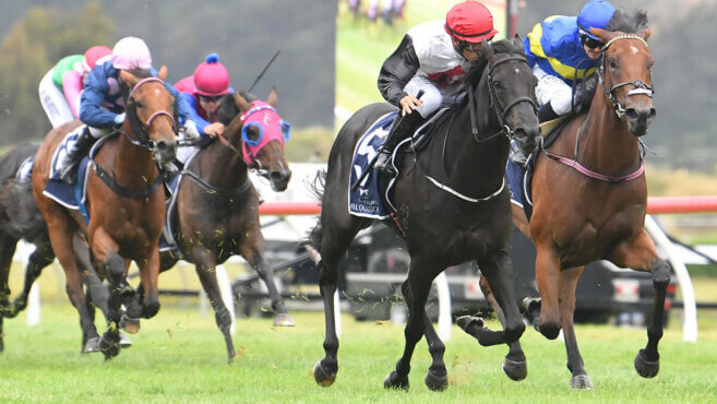 Bendigo Tips & Preview - Wednesday, May 22