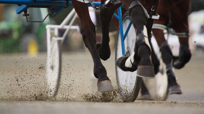 Oamaru Harness Tips & Preview | Wednesday 4 March