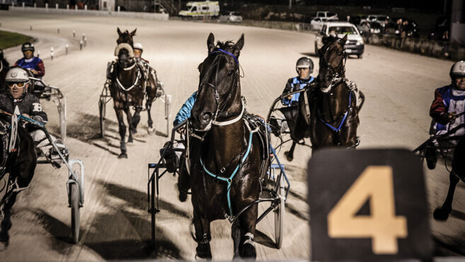 Nelson Harness Tips & Preview | Sunday 11 January