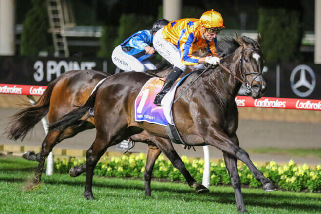 2025 Moonee Valley Gold Cup Night Preview