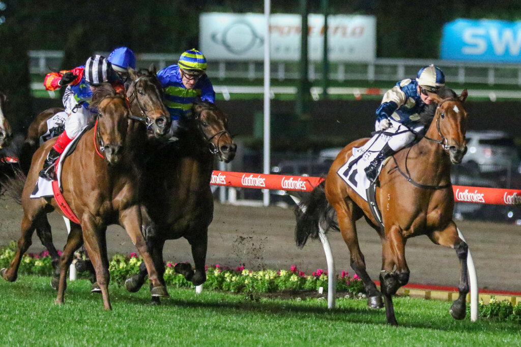 2022 Moir Stakes winner Coolangatta winning under the lights at The Valley