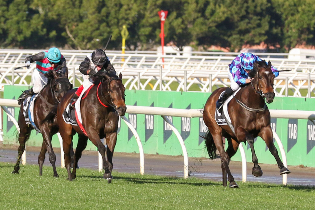 Dual Makybe Diva Stakes winner Mr Brightside winning in 2024