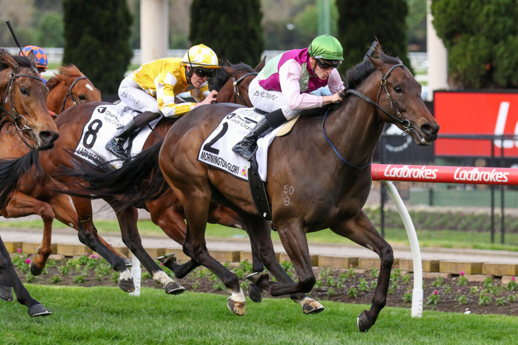 2024 AJ Moir Stakes winner Mornington Glory