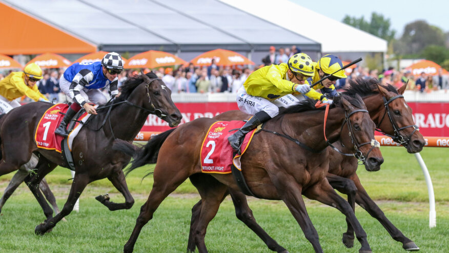 Caulfield Racing Odds