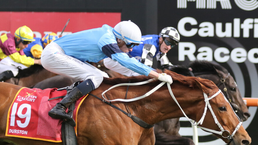 Caulfield Cup Betting