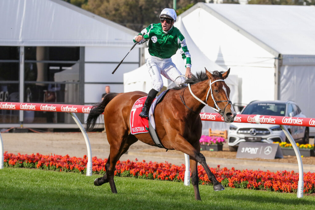 2024 Cox Plate winning mare Via Sistina at The Valley