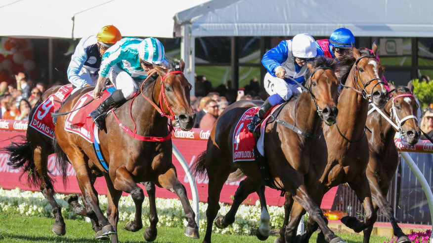 Cox Plate Preview