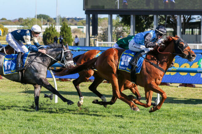 Vain Stakes 2026 Tips: Predictions & Best Bets