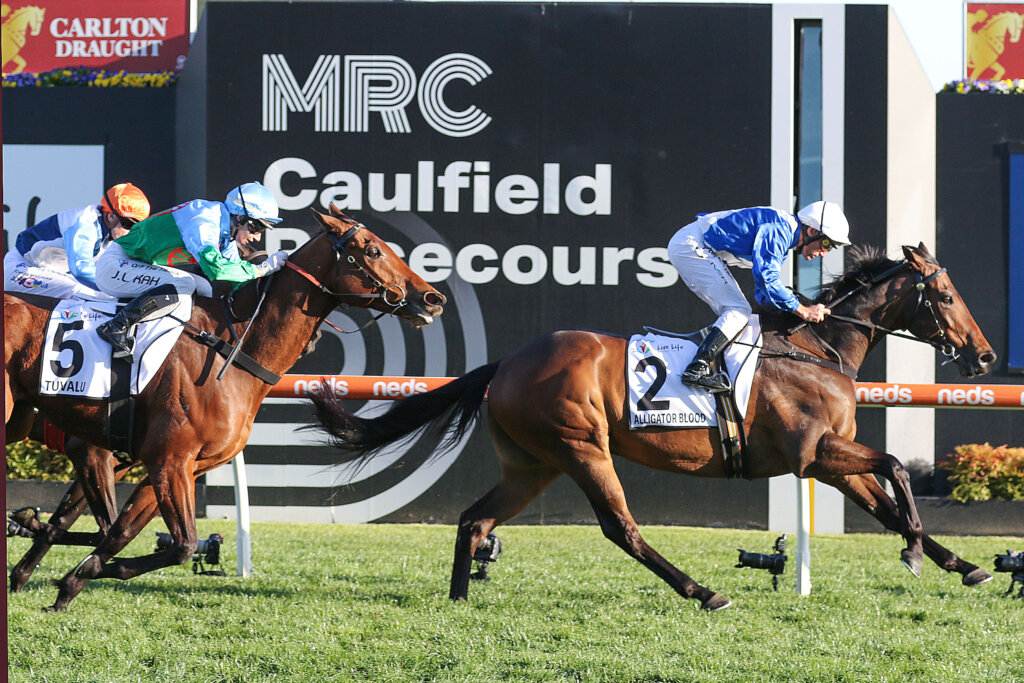 Alligator Blood winning the 2023 Underwood Stakes at Caulfield Racecourse 