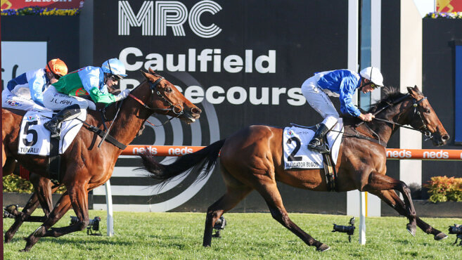 Runner by Runner Guide | Toorak Handicap 2024