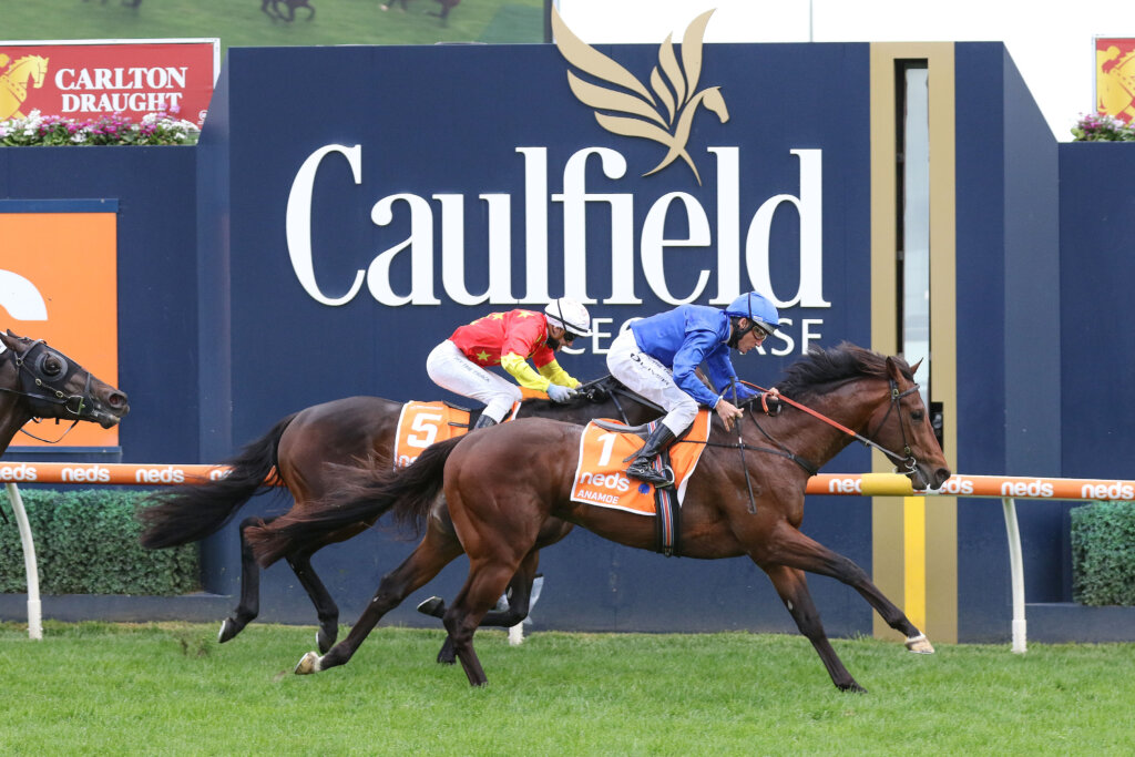 Caulfield Guineas record holder Anamoe (2021)