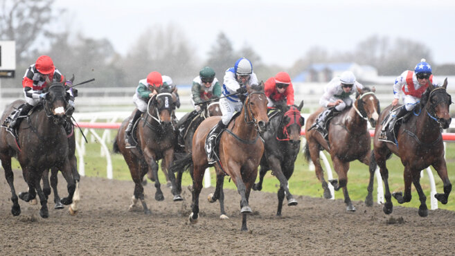 Awapuni Synthetic Tips & Preview | Sunday 31 May