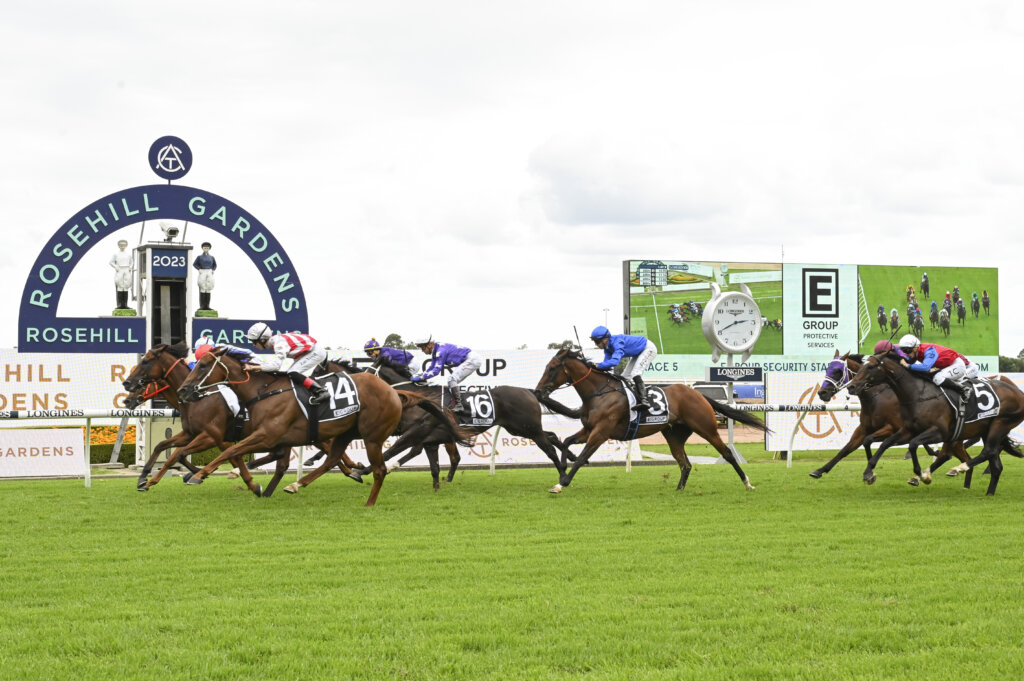 Racing at Rosehill Gardens Racecourse