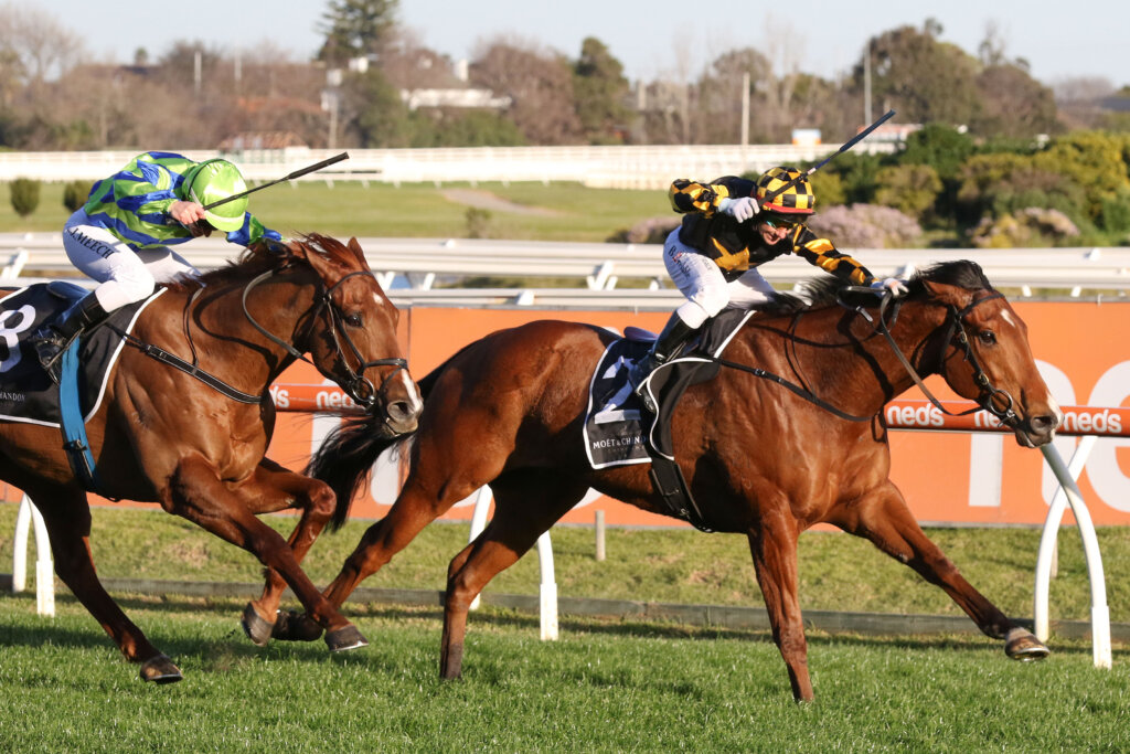 2021 Memsie Stakes winner Behemoth