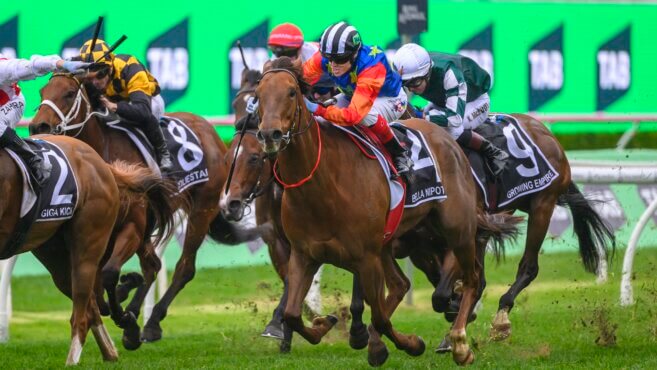 Gold Coast (The Gold Market Night) Tips & Preview | Friday 24 January