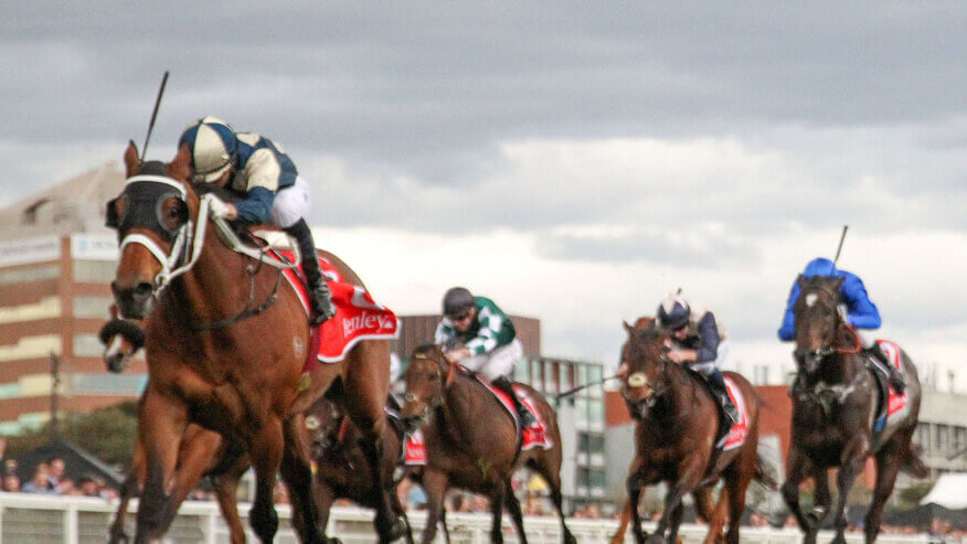 Toorak Handicap Preview