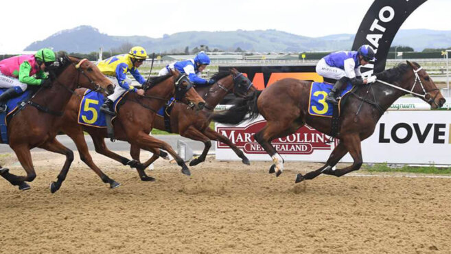 Cambridge Synthetic Tips & Preview | Wednesday 3 June
