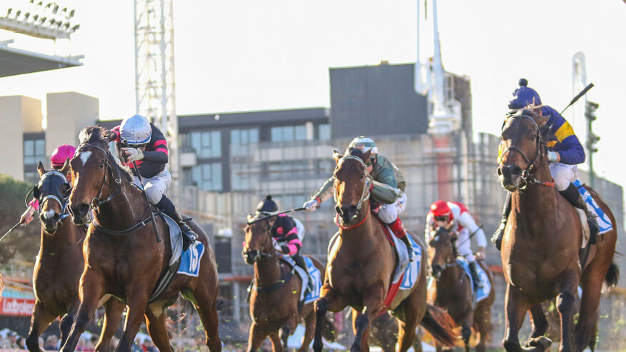 Manikato Stakes Betting