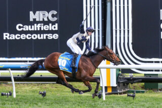 Duke De Sessa winning the 2024 Caulfield Cup