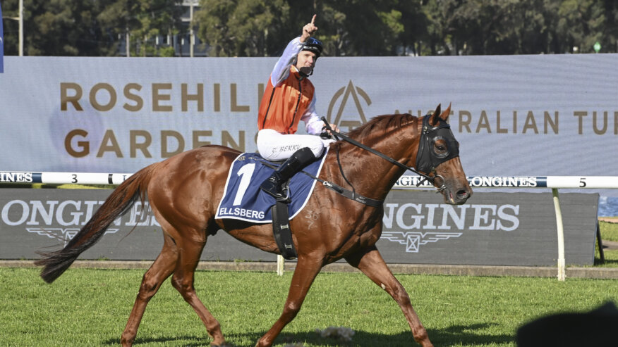 Rosehill Racing Odds