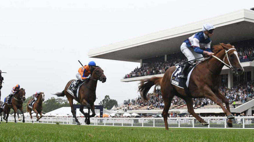 2025 Zabeel Classic Betting
