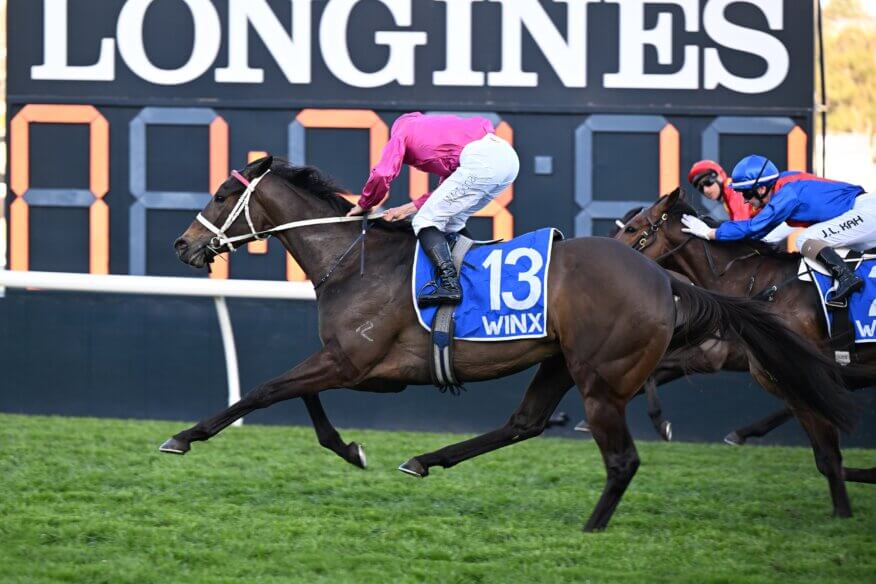 2026 Winx Stakes Preview
