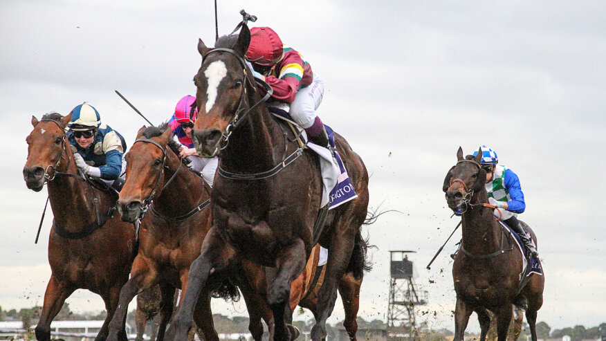 Flemington Racing Odds