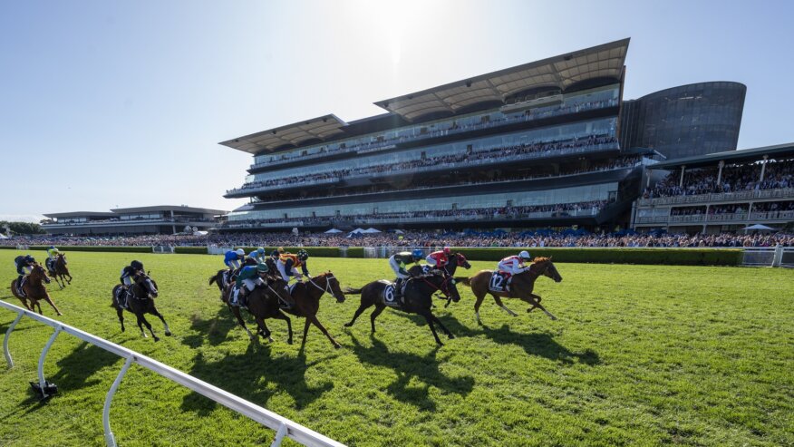 7 Stakes Preview