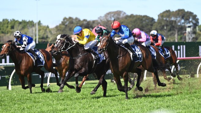 Warwick Farm Tips & Preview | Wednesday 16 October