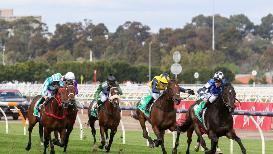 Turnbull Stakes Preview