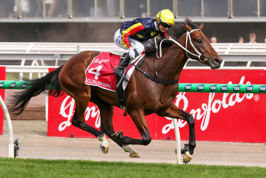 2024 VRC Derby winner Goldrush Guru