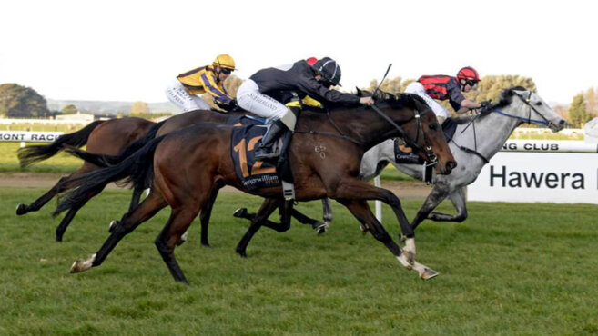 Hāwera Tips & Preview | Saturday 11 July