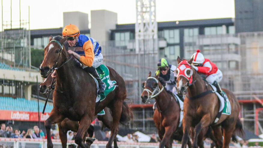 2026 Moir Stakes Preview