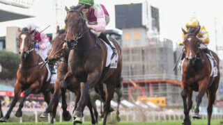 2024 Moir Stakes winner Mornington Glory