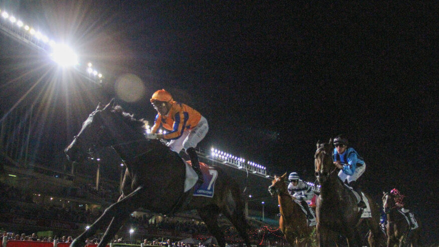 Manikato Stakes Preview