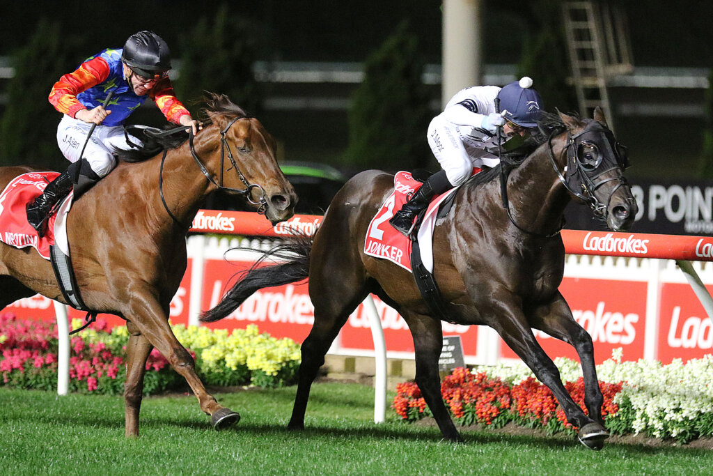 Jonker winning the 2021 Manikato Stakes under the lights at The Valley