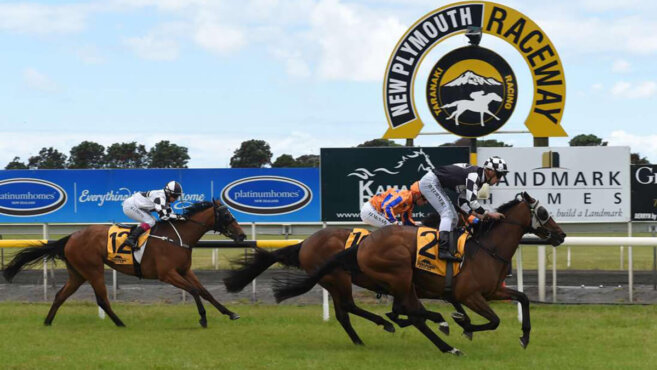 New Plymouth Tips & Preview | Saturday 23 May