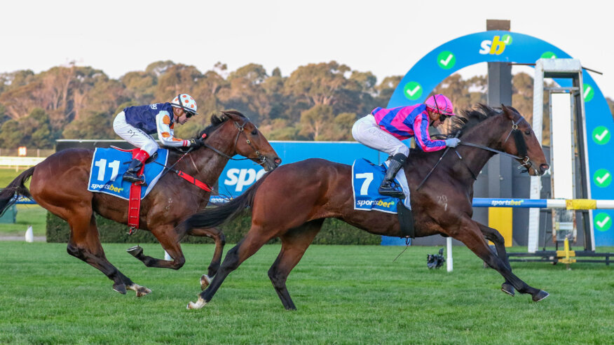 Sandown Racing Odds